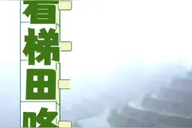 “行进中国”调研行·品牌湖南｜“远方的朋友来我家，看梯田喽！”图片