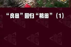 北京卫视——“良田”回归“粮田”（1-3集）图片