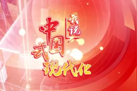 中船邮轮董事长杨国兵：中国一定会成为邮轮产业强国|我说中国式现代化㉔图片