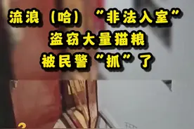 【#流浪二哈去别人家把猫粮全都吃了#】图片
