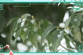 小雪：养生忌盲补，南北各不同图片