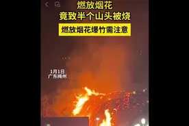 惊险！一山头因放跨年烟花被烧毁图片