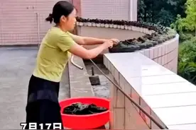 学生拍下学校军训完，宿管阿姨从垃圾桶里捡来几十双军训鞋子，她说洗净晾干后给乡下农村干活的人穿图片