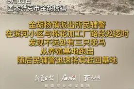 鸵鸟：世界那么大我想去看看 民警：“别看了，回家！”图片