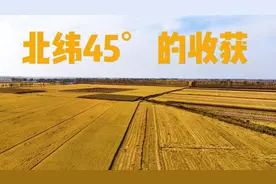 微视频| 北纬45°的收获图片