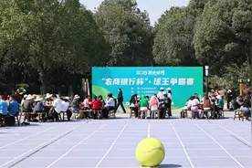 湖北这场“村网” 很“村”很有“味”图片