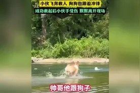 暖心！男生飞奔下水救人宠物狗紧随其后图片