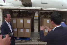 首次入豫！柬埔寨腰果直飞郑州图片