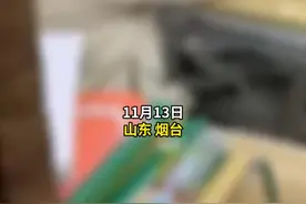 烟台一托管班男老师体罚学生，教育局回应：派出所和教育局已立案图片