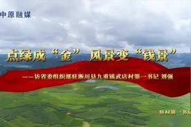 刘强：点绿成“金” 风景变“钱景”图片