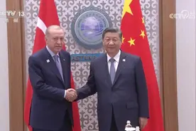 习近平会见土耳其总统埃尔多安图片