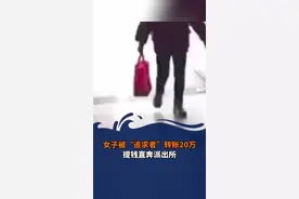 女子被“追求者”转账20万，提钱直奔派出所！网友：反诈意识到位图片