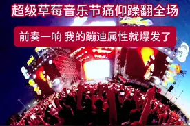 视频 | 超级草莓音乐节痛仰躁翻全场图片