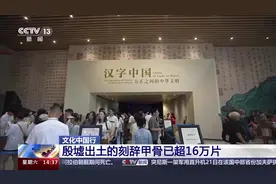 文化中国行丨“拼图”→“解码” 数字技术让甲骨文活起来图片