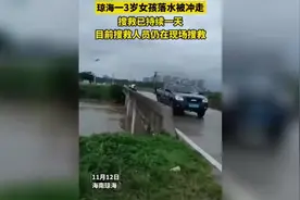 海南琼海塔洋3岁女孩不慎落水被冲走！搜救仍在继续图片