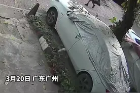 广东广州一路边沙井盖突然被炸飞，疑似沼气爆炸图片