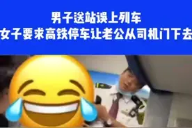 离谱！男子送站误上列车，妻子竟要求高铁停车图片