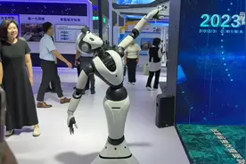 新华全媒+｜数博会上智能机器人“秀”本领图片