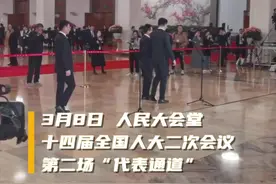 亮相“代表通道”！这项唤醒大脑的“黑科技”还能做到更多图片