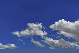 【大美天中】西平县湿地公园：粉黛花海绽放别样浪漫图片