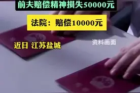离婚后仅14天 前夫与其他女子登记结婚 两人婚后一个月即生育一子 前妻起诉要求前夫赔偿精神损失50000元图片