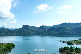 《神奇的北纬》走进醉美酒乡 探访神奇绿谷里的生态迎驾图片