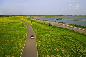 河北石家庄：水清岸绿花成海 滹沱美景醉游人图片