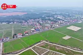 习近平湖南行 | 强化农业科技支撑 绘就乡村全面振兴新画卷——走进常德市鼎城区谢家铺镇港中坪村图片