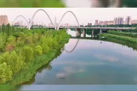 超有爱！太原汾河景区䴙䴘“一家五口”乐融融图片