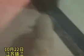 女子做菜忘关火烟雾弥漫，狗子发现后敲门提醒图片