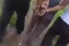 民警百米冲刺式抓捕鞋都甩掉了图片