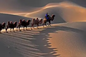 海棠血泪，《梦驼铃》图片