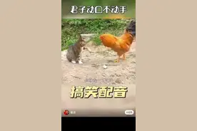 《“你动我试试”与“我动你咋了”的奇葩交锋》图片