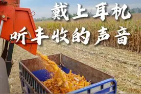 戴上耳机，听丰收的声音图片