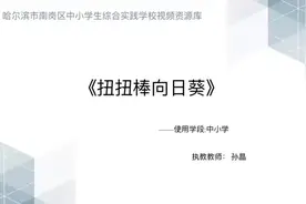 哈尔滨市南岗区中小学生综合实践学校劳动微课视频展播图片