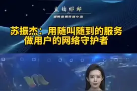 苏振杰：用随叫随到的服务 做用户的网络守护者图片