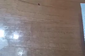 一次网购补牙材料上当的全过程图片
