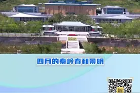 马英九率台湾青年参访西安国家版本馆：期盼中华文明古籍智慧照亮中华民族的未来图片