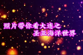 大连圣亚海洋世界，成立于1994年，是东北唯一的文旅A股上市公司视频封面