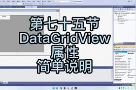 1075-DataGridView属性简单说明 #编程视频封面