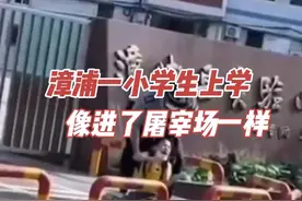 漳浦实验小学门口，一小朋友哭天喊地逃出被保安当场抓获#学校 #暖心 #小学生 #保安 #漳浦 @抖音短视频 视频封面