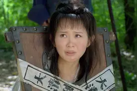 影视：金锁被流放时遭到官兵侮辱，柳青柳红及时赶到，将她救走视频封面