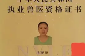 养殖第二关（选种）图片